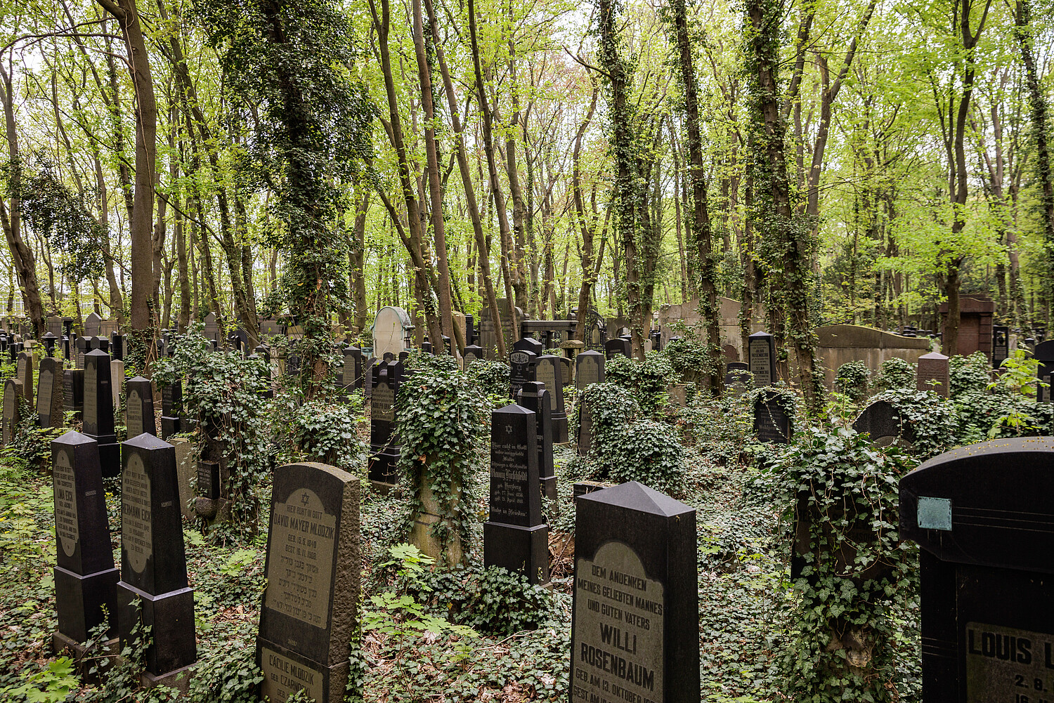 Jüdischer Friedhof Weißensee